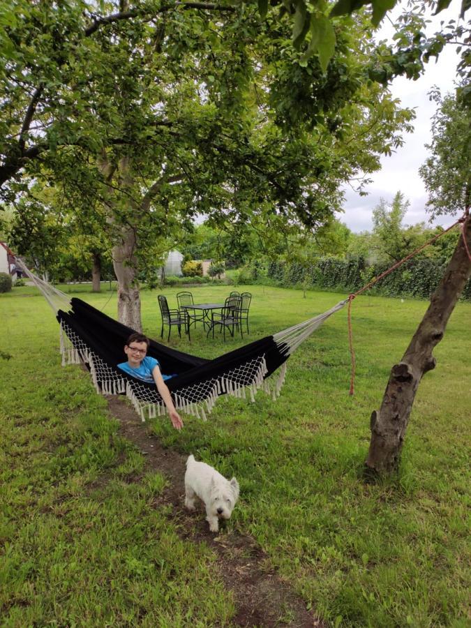 Willa Wanda - Duzy Ogrod Z Hot-Tube I Sauna Sztum Exterior foto